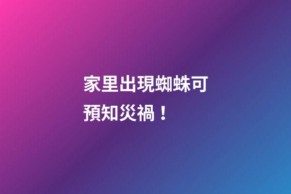家里出現蜘蛛可預知災禍！